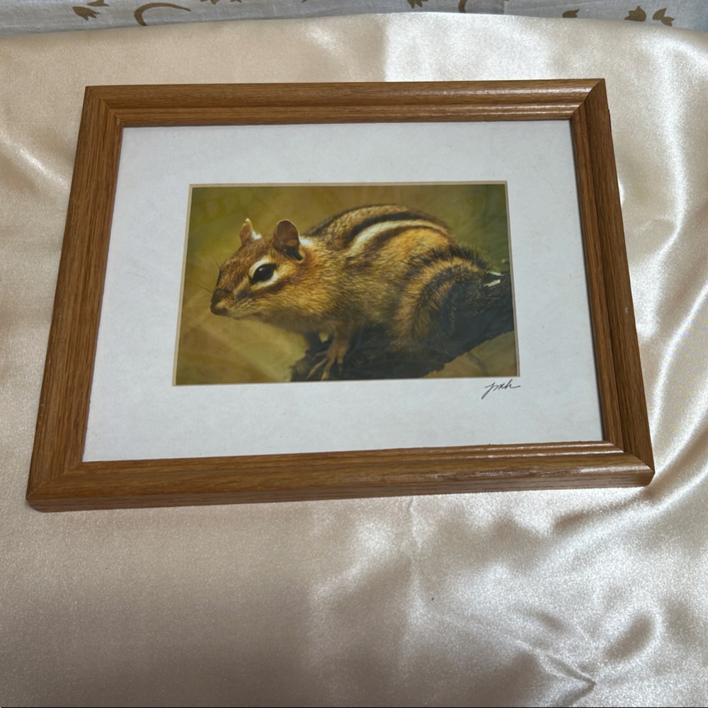 Framed Chipmunk Art Print
